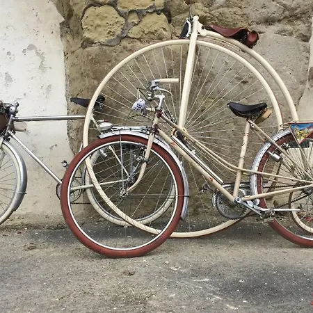 Tour de France historique et châteaux de Loire Orléans Extérieur photo